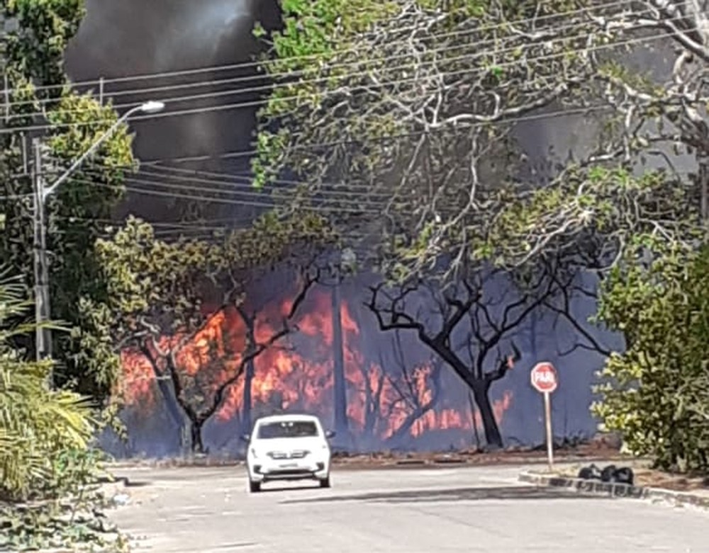 VÍDEO: Grande incêndio em área verde assusta moradores no Plano Diretor Sul de Palmas