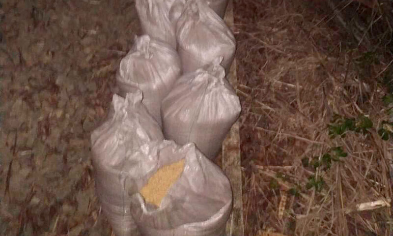 Em flagrante: Polícia Militar impede furto de sacas de soja de trem no norte do Tocantins