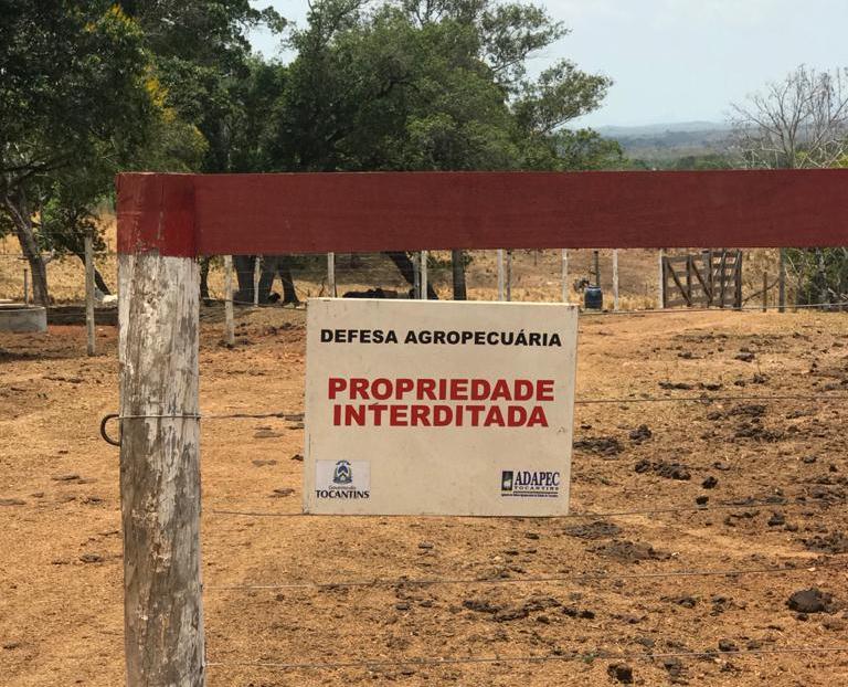 Adapec interdita fazenda em Babaçulândia por usar cama de frango para alimentar bovinos