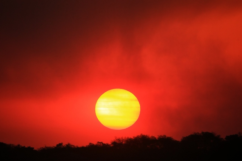 'O calor tá de matar': Entenda o que é hipertermia e como evitá-la após alerta vermelho do Inmet para Tocantins