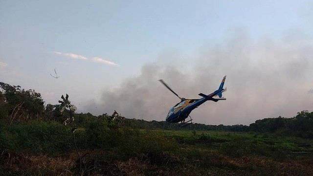 Incêndio volta a destruir Parque Estadual do Cantão após passar 15 dias controlado