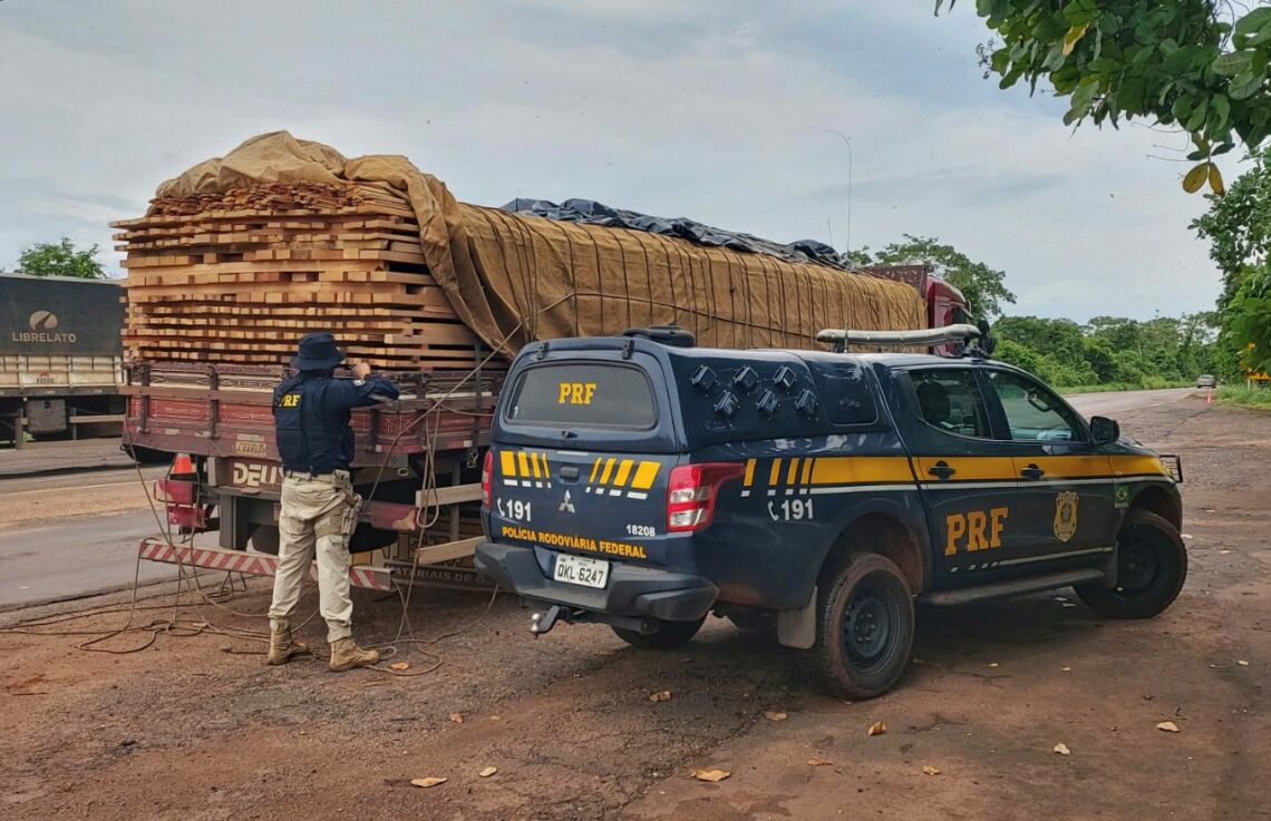 PRF apreende carga de madeira ilegal sendo transportada em Palmeiras do Tocantins
