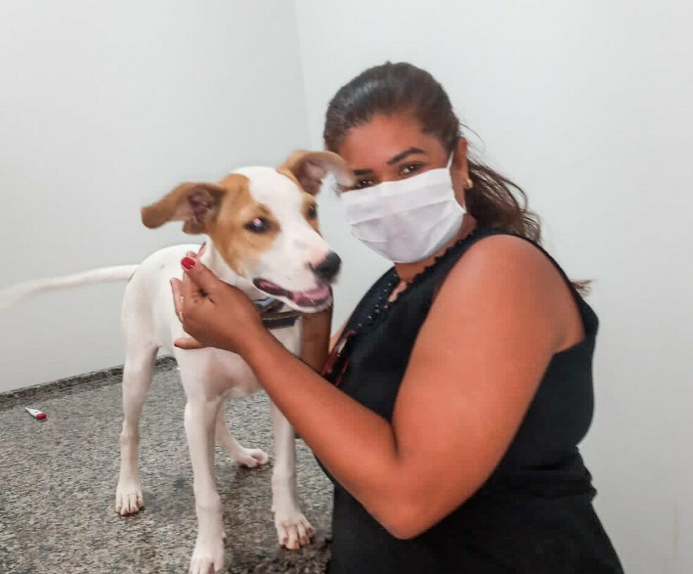 Segurança de hospital particular de Araguaína é indiciado por maus-tratos após ser filmado agredindo cachorro com cassetete