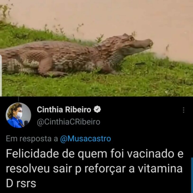 Internauta flagra jacaré no Parque Cesamar e prefeita de Palmas repercute com indireta a Bolsonaro; VEJA