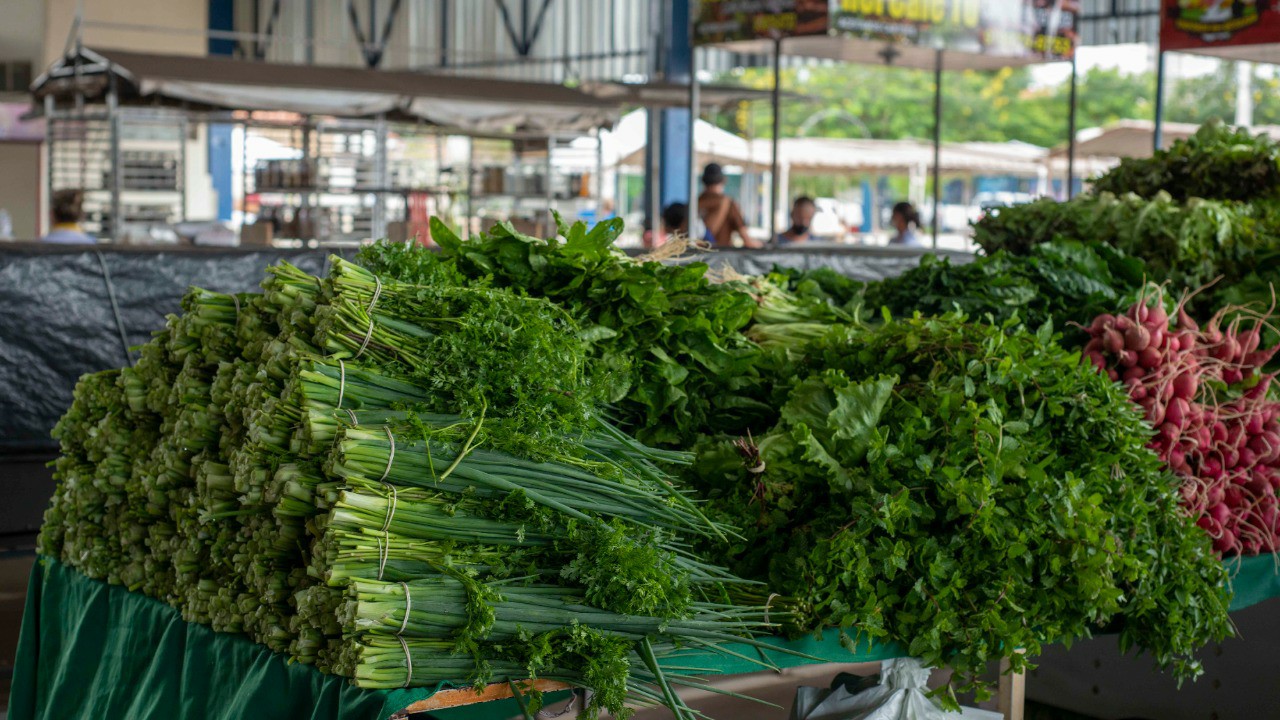 Da feira ao delivery: Após decreto, feirantes de Palmas atendem ao público por meio de entregas via delivery; saiba mais