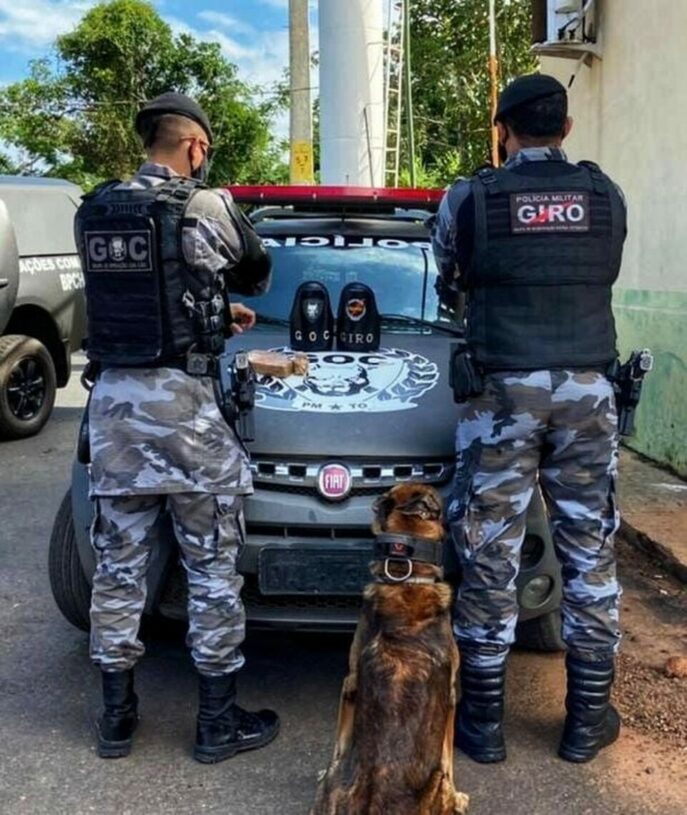 Cães farejadores da PM encontram cerca de 1kg de cocaína na mochila de uma passageira em ônibus com destino a Palmas