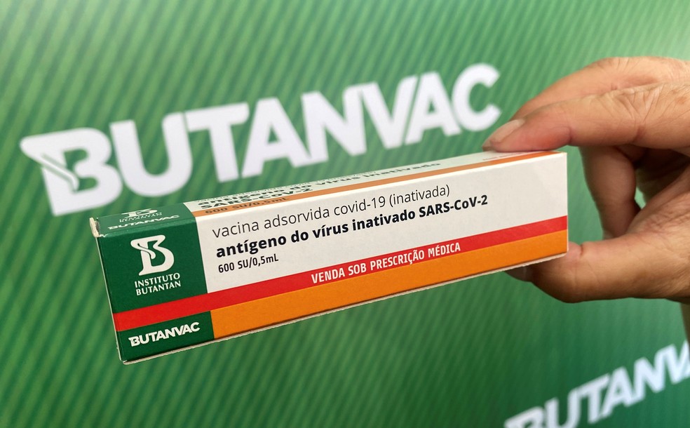 ButanVac: Anvisa aguarda relatório completo da nova vacina para avaliar teste em humanos
