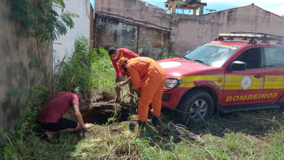 Cachorro cai em cisterna com quase 9 metro de profundidade e Bombeiros realizam o resgate no centro de Palmas