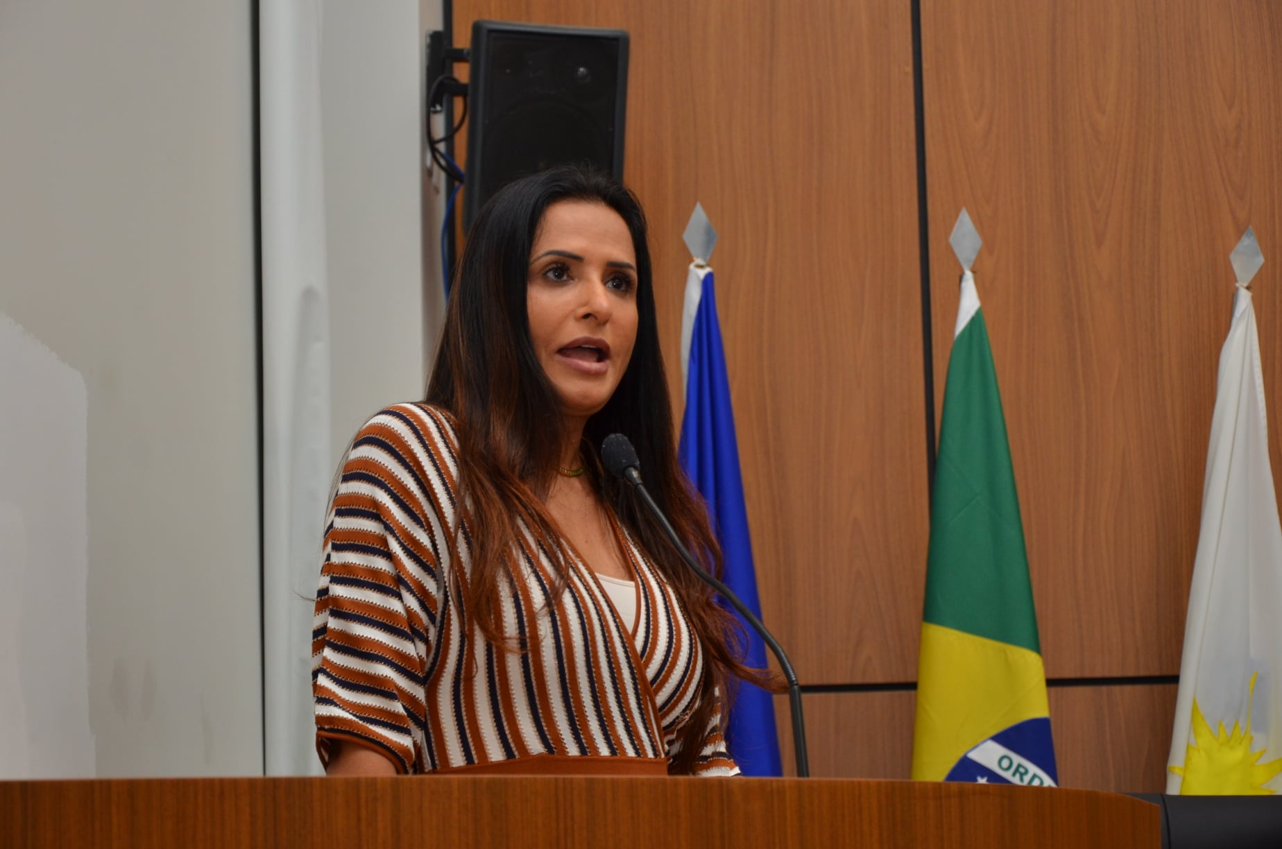 Solange Duailibe participa de Audiência Pública sobre Saúde na Câmara de Palmas