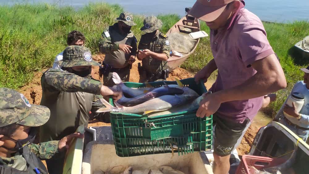 Adapec e GMP apreendem 500kg de pescado impróprios para o consumo no lago de Palmas