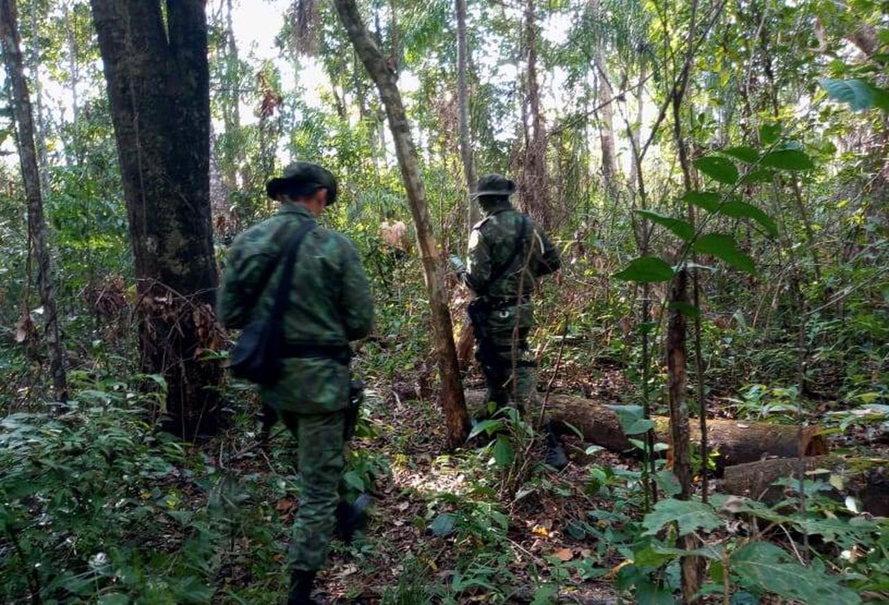 Naturatins e BPMA atendem denúncias de extração de madeira e pesca ilegal na região do Cantão