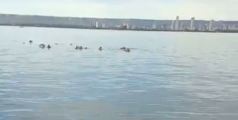 Lancha com nove pessoas naufraga no lago de Palmas após colidir em tronco de árvore; veja detalhes