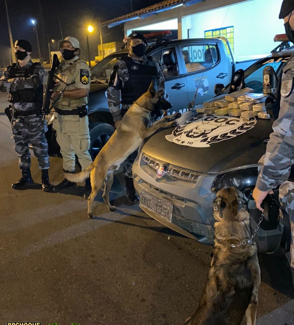 Tráfico de drogas: PM prende mulher após cães farejadores encontrarem maconha e crack em ônibus no distrito de Luzimangues