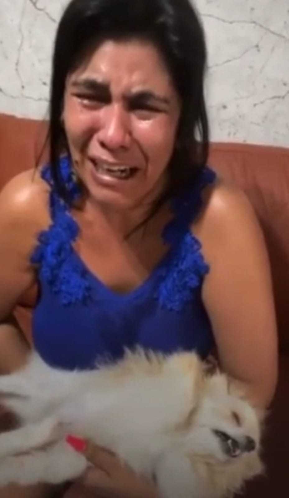 Mulher deixa cachorro em pet shop e recebe o animal morto em Brasília; veja vídeo
