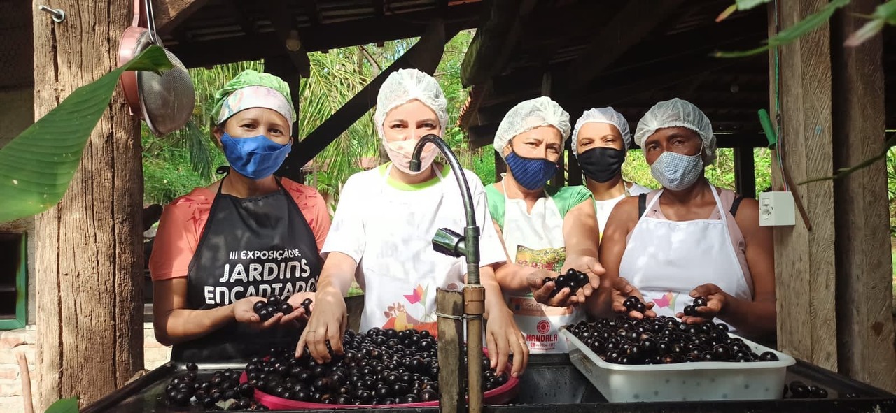Produtores de Taquaruçu encerram curso de produção de doces e compotas de jabuticaba; confira