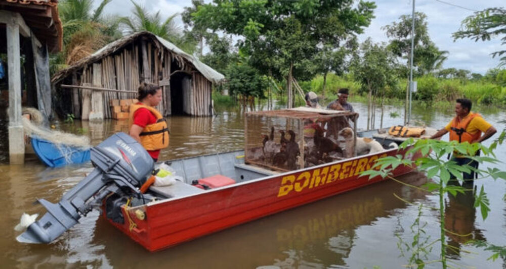Sobe para mais de 3 mil o número de pessoas afetadas por enchentes no Tocantins