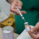 Palmas inicia a aplicação da CoronaVac em crianças a partir de 06 anos; confira os locais de vacinação