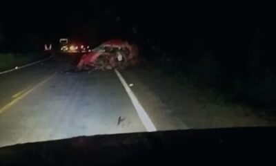 Motorista morre no sul do TO após bater caminhonete de frente com caminhão que transportava gado