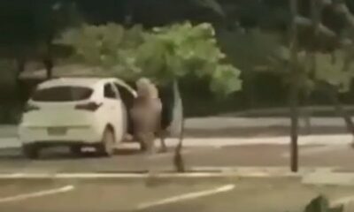 Casal é flagrado fazendo sexo no estacionamento do Espaço Cultural, em Palmas; VEJA VÍDEO