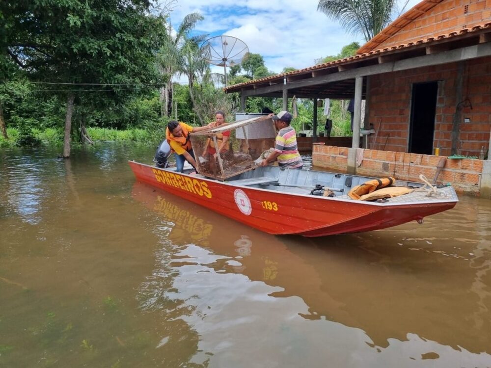 Enchentes no Tocantins: Sobe para 1.096 o número de pessoas afetadas