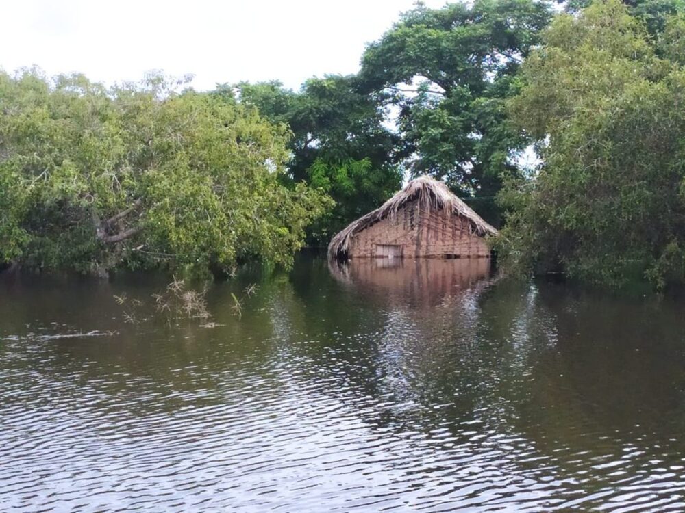 Sobe para 894 o número de pessoas afetadas por enchentes no Tocantins