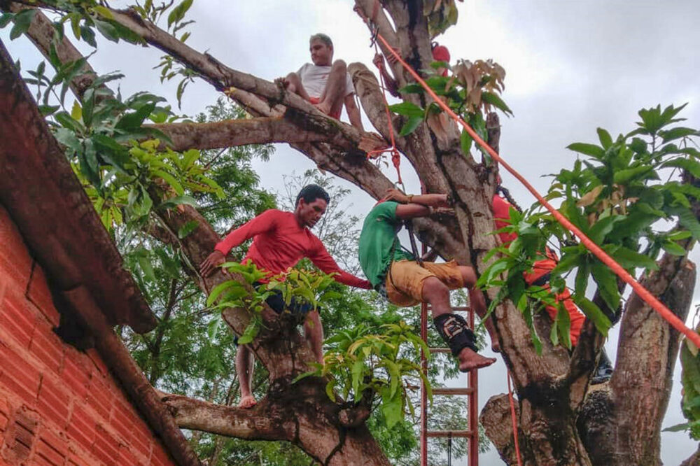 Homem quebra a perna durante poda de árvore e é resgatado por bombeiros em Araguaína