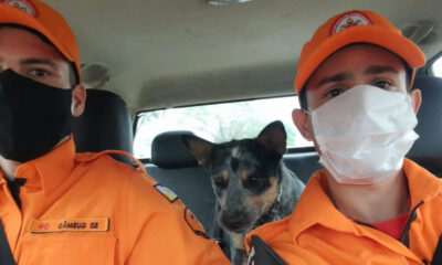 Trio tocantinense da equipe de bombeiros vai ajudar nas buscas em Petrópolis