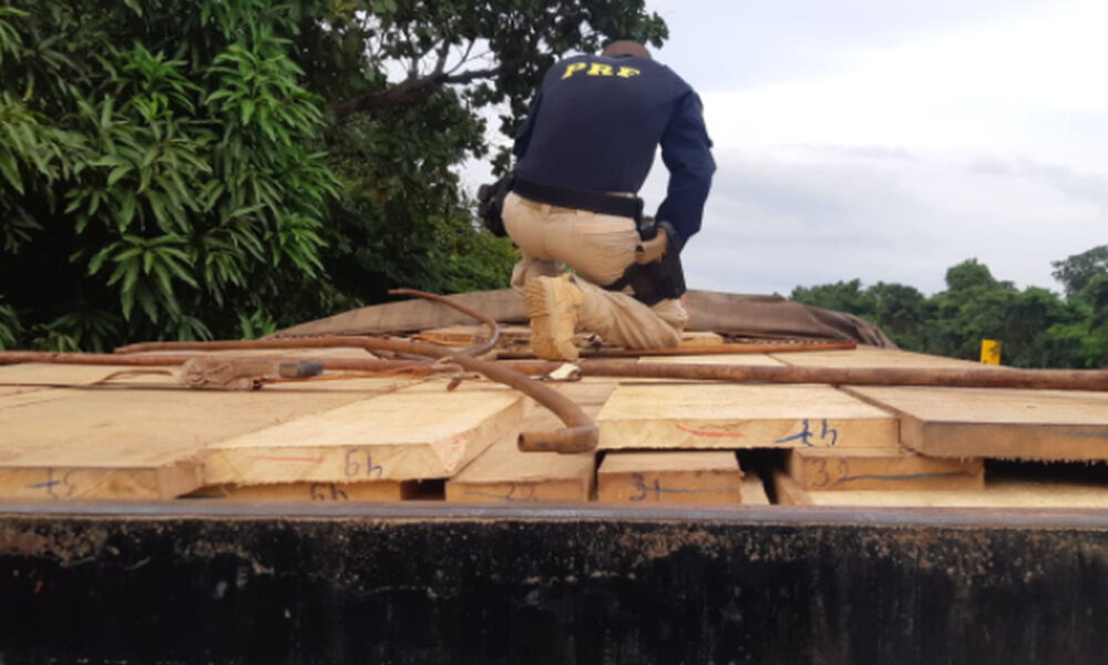 PRF apreende carga de madeira ilegal na BR 230 em Luzinópolis, norte do Tocantins