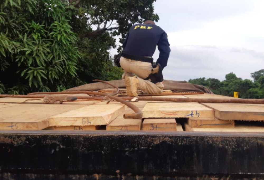 PRF apreende carga de madeira ilegal na BR 230 em Luzinópolis, norte do Tocantins