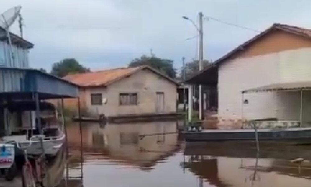 VÍDEO: Arraia é encontrada na rua após o rio subir mais de sete metros e inundar parte de Araguanã, no norte do TO