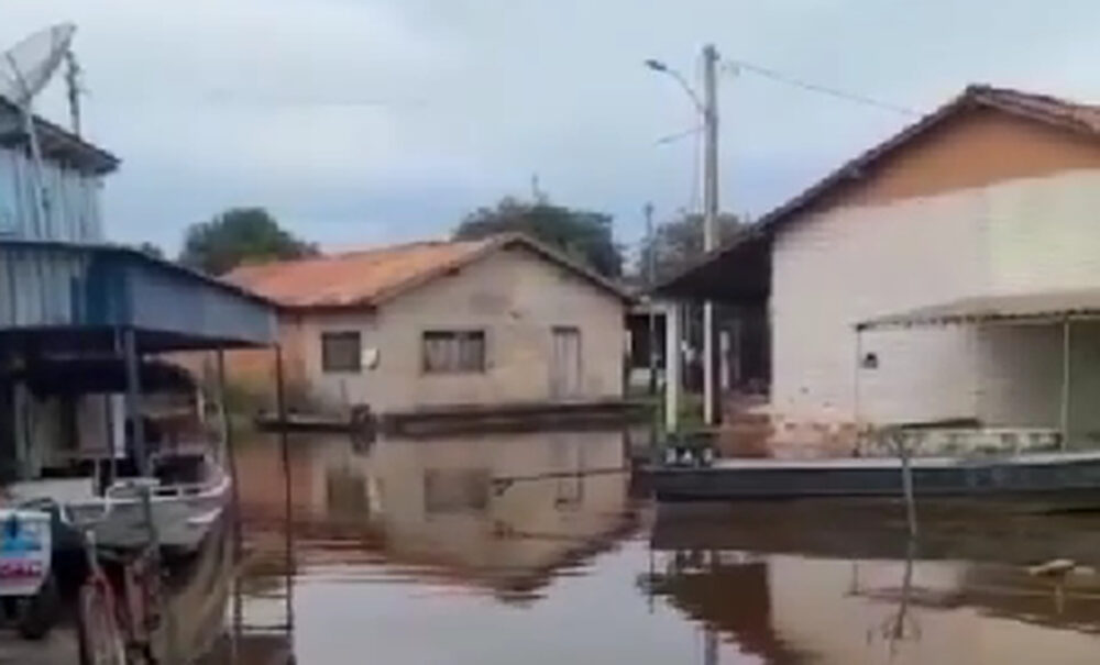 VÍDEO: Arraia é encontrada na rua após o rio subir mais de sete metros e inundar parte de Araguanã, no norte do TO
