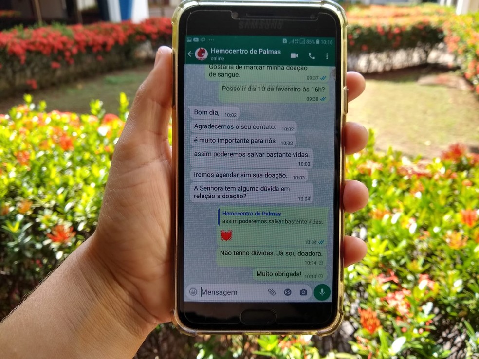 Estoque de sangue baixo motiva Hemocentro de Palmas a tirar dúvidas e fazer agendamentos de doadores pelo WhatsApp