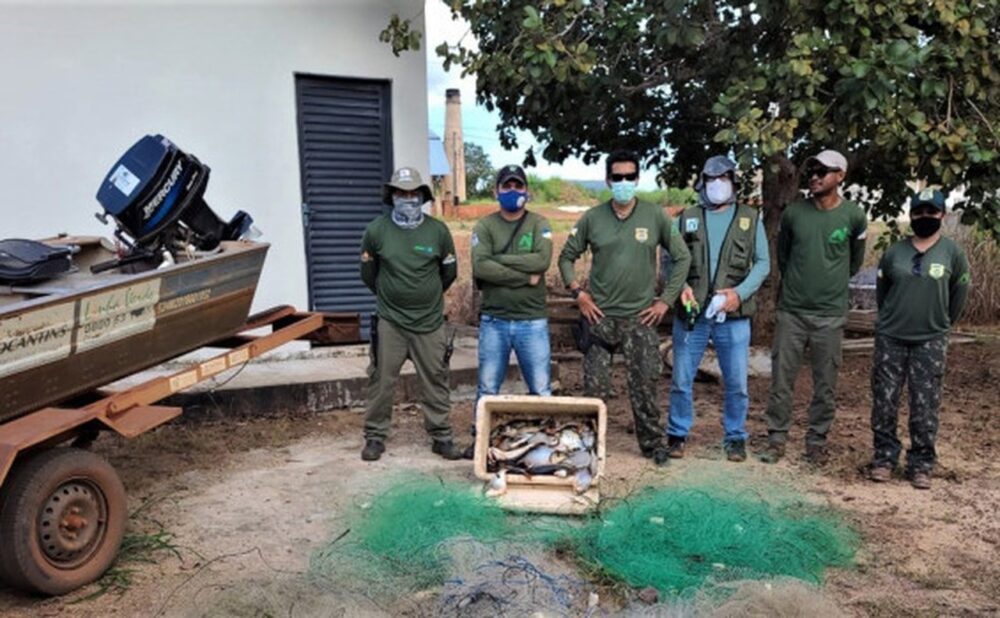 Operação piracema apreende mais de 80kg de peixes e um jacaré abatido no sul do Tocantins