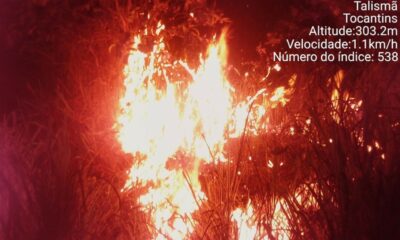 12 hectares de uma fazenda são destruídos após incêndio no sul do Tocantins