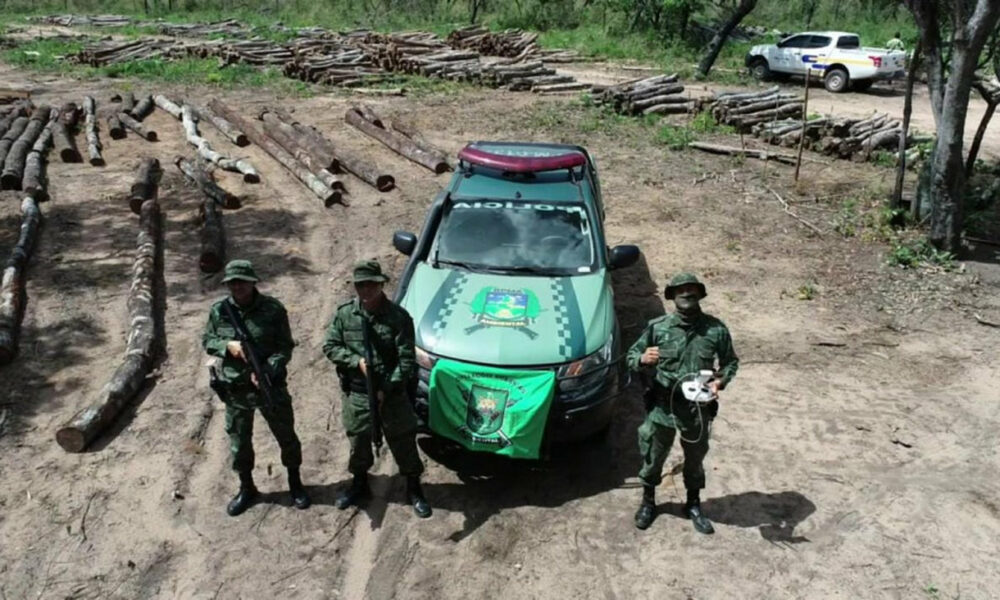 Uma das maiores apreensões de madeira ilegal do TO é feita no município de Mateiros; multa aplicada ultrapassou R$ 40.000,00