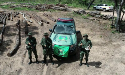 Uma das maiores apreensões de madeira ilegal do TO é feita no município de Mateiros; multa aplicada ultrapassou R$ 40.000,00