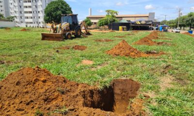 Projeto ''MudaClima'': Prefeitura de Palmas e empresa de engenharia vão plantar cerca 800 árvores na Arse 72