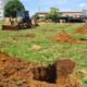 Projeto ''MudaClima'': Prefeitura de Palmas e empresa de engenharia vão plantar cerca 800 árvores na Arse 72