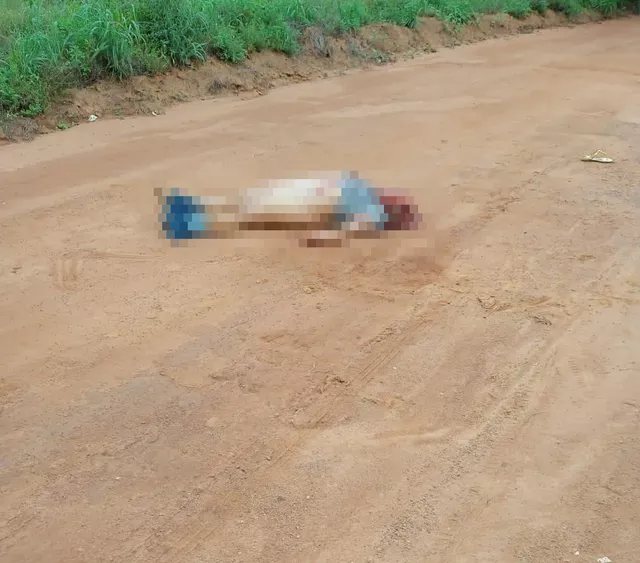 BRUTALIDADE: Corpo de mulher assassinada com pancadas na cabeça é encontrado em estrada de Alvorada; vítima estava seminua e com marcas de cortes