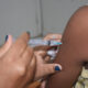 Porto Nacional tem melhor índice em porcentagem de vacinação contra a Covid-19 no Tocantins