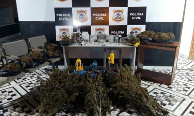 Polícia descobre plantação de maconha, fecha fábrica de drogas e dupla de traficantes é presa em Ananás