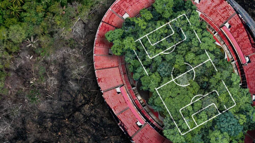 MPTO faz acordo com produtores rurais para reflorestar área equivalente a 630 campos de futebol na Bacia do Rio Formoso