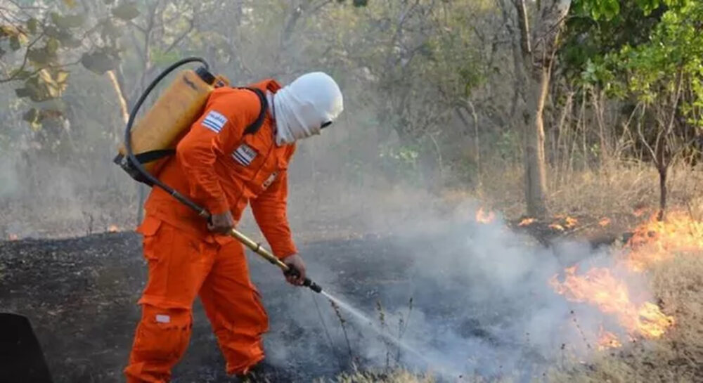 Em Palmas, Defesa Civil realiza simulação para treinar brigadistas que vão combater incêndios