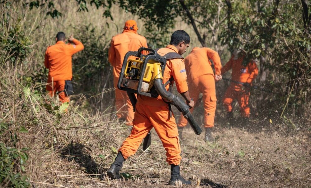 Brigadistas de Palmas participam de treinamento com manejo e controle do fogo; confira