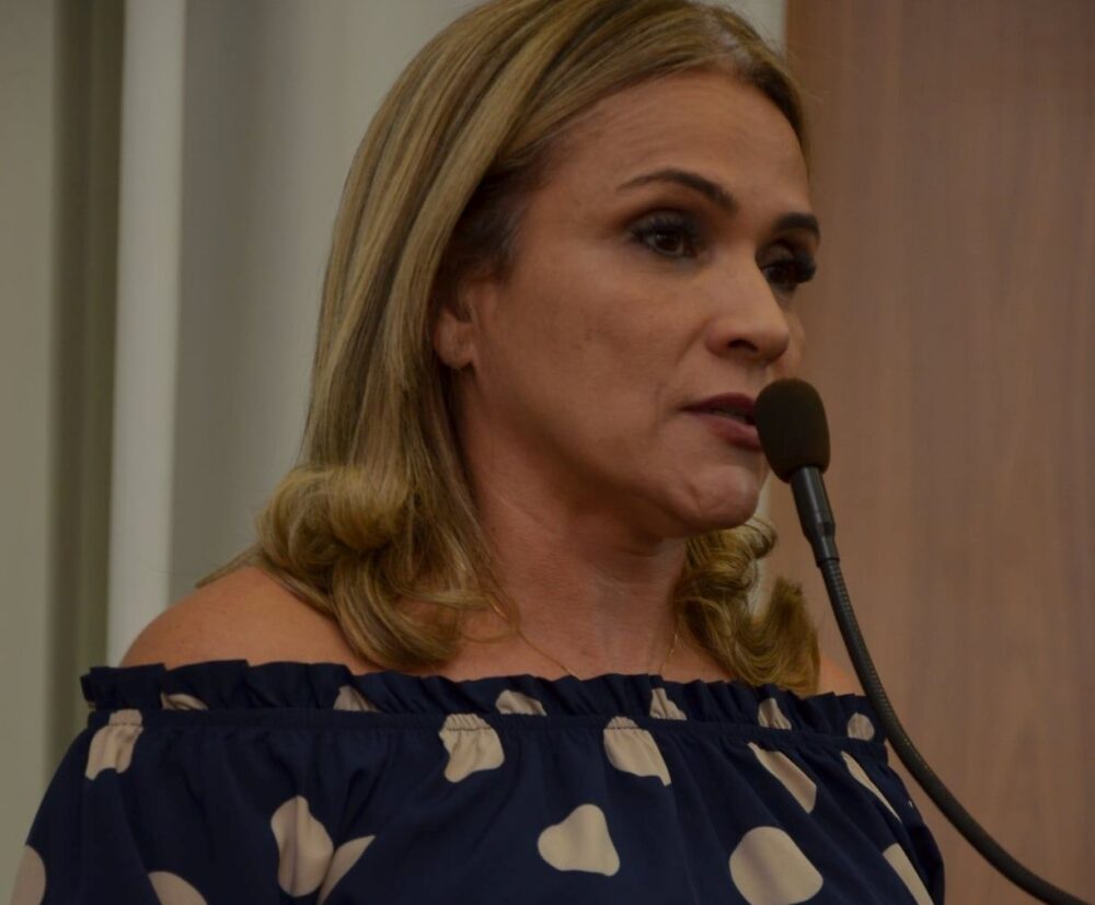Laudecy Coimbra solicita ações de infraestrutura em Palmas