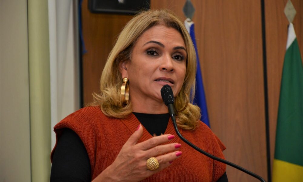 Vereadora Laudecy Coimbra denuncia propaganda enganosa em loteamentos irregulares durante audiência pública