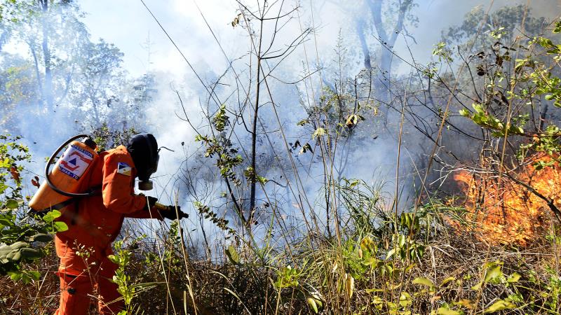 Prefeitura de Palmas orienta sobre prevenção às queimadas durante o período de estiagem