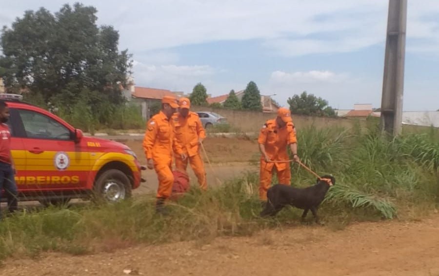 Cachorro em apuros: Animal cai dentro de um bueiro aberto na quadra 409 Norte, em Palmas, e é resgatado por Bombeiros; VEJA VÍDEO