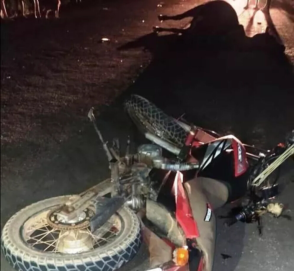 Motociclista morre e casal fica ferido após baterem em vaca na TO-201, em Esperantina