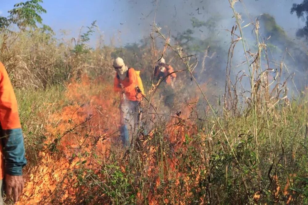 Tocantins ocupa segundo lugar em ranking de estados com maior número de focos queimadas registrados em 2022 no Brasil